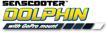 logo_dolphin